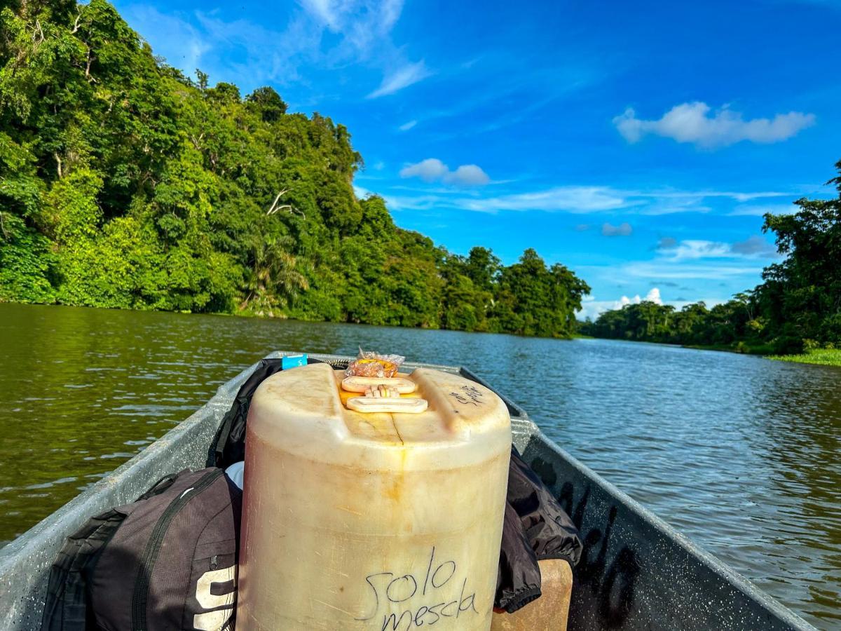 Apartmán Departamento 7 Tortuguero Exteriér fotografie